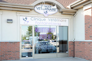 rencontre femme veterinaire